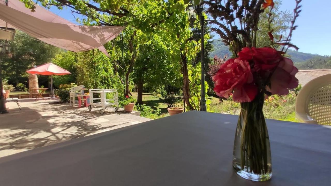 Le Clos Du Verger La Motte-du-Caire Esterno foto